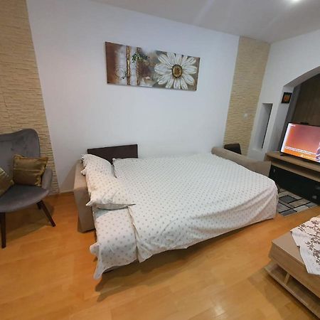 סינאיה Monik Apartament מראה חיצוני תמונה