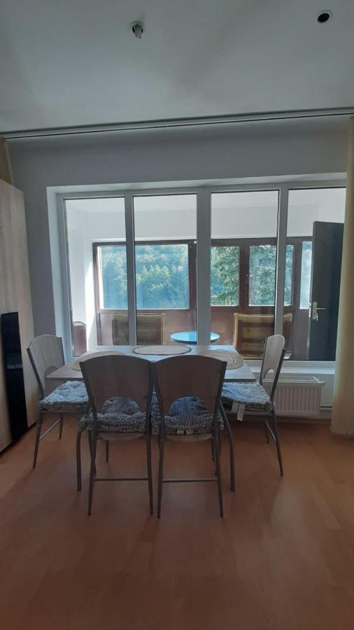 סינאיה Monik Apartament מראה חיצוני תמונה