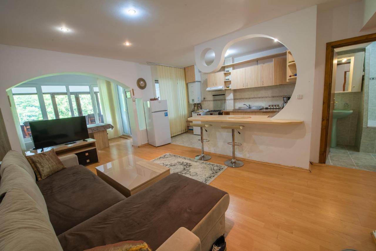 סינאיה Monik Apartament מראה חיצוני תמונה