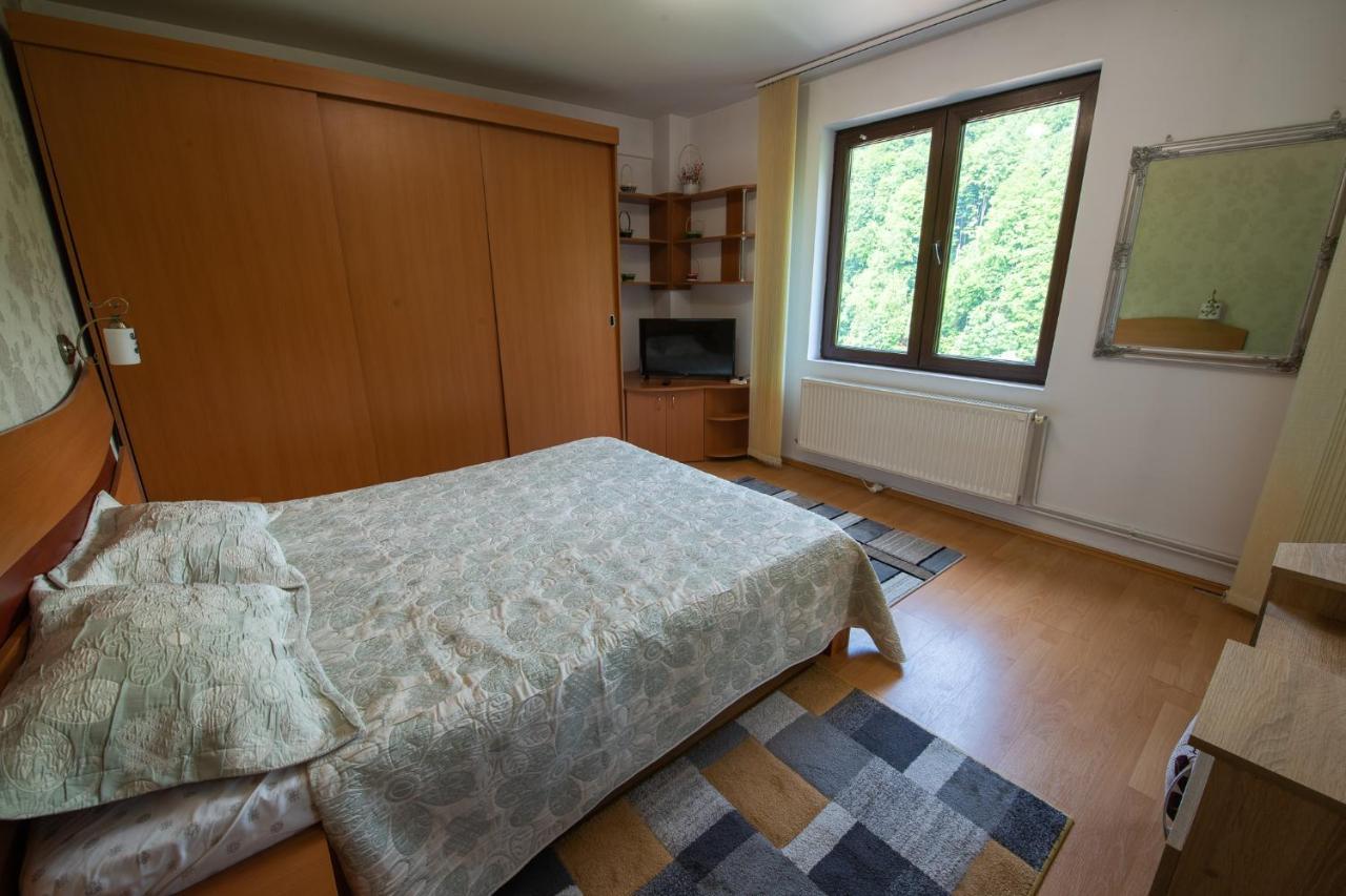 סינאיה Monik Apartament מראה חיצוני תמונה