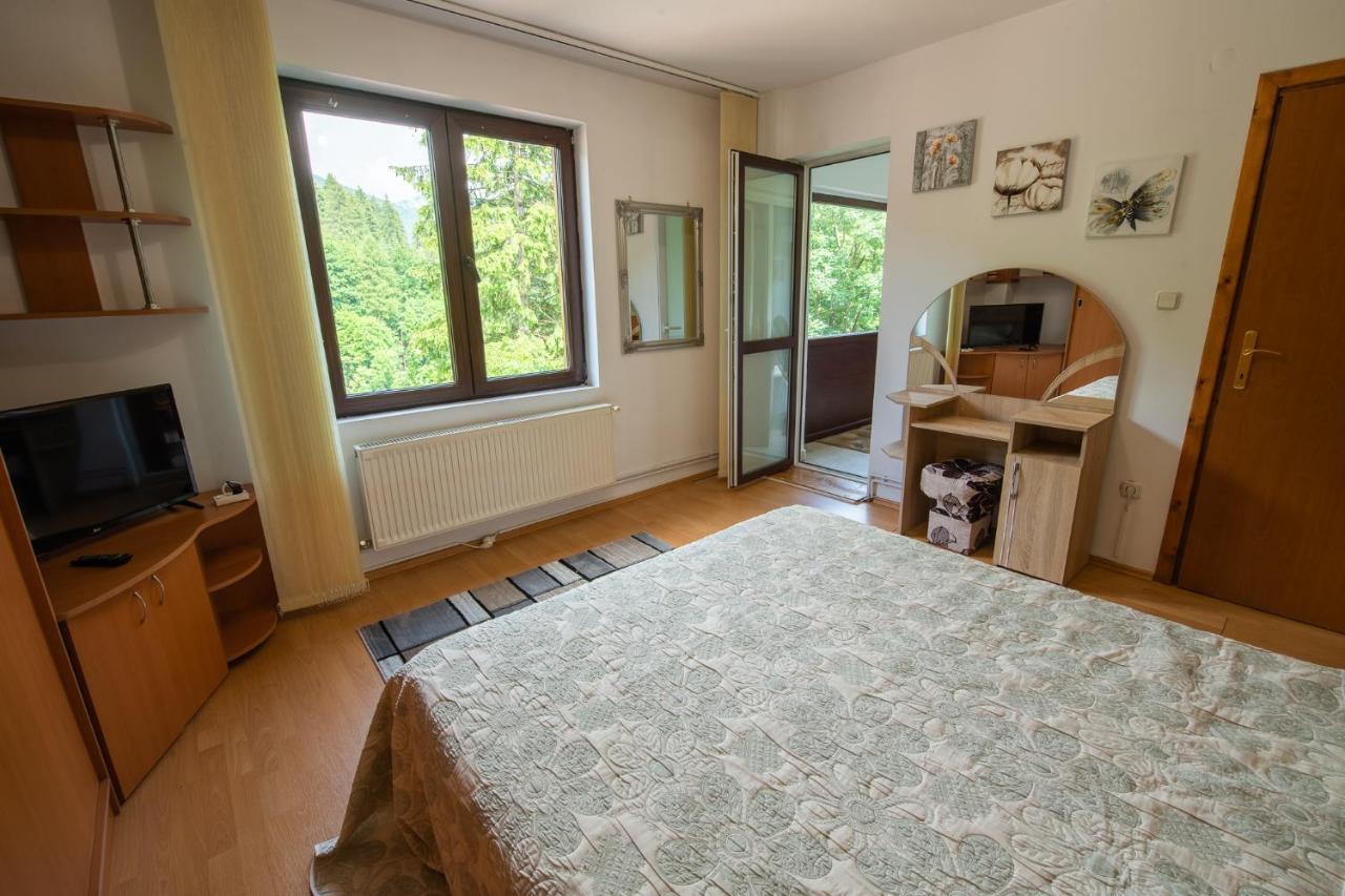 סינאיה Monik Apartament מראה חיצוני תמונה