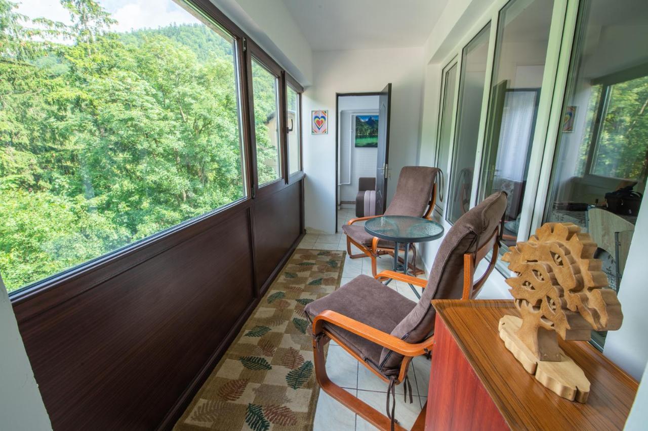 סינאיה Monik Apartament מראה חיצוני תמונה