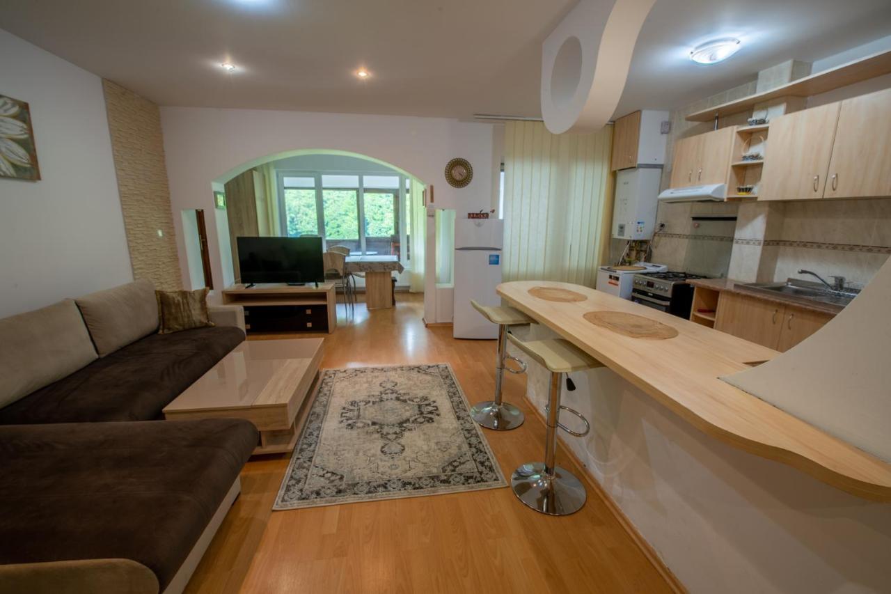 סינאיה Monik Apartament מראה חיצוני תמונה