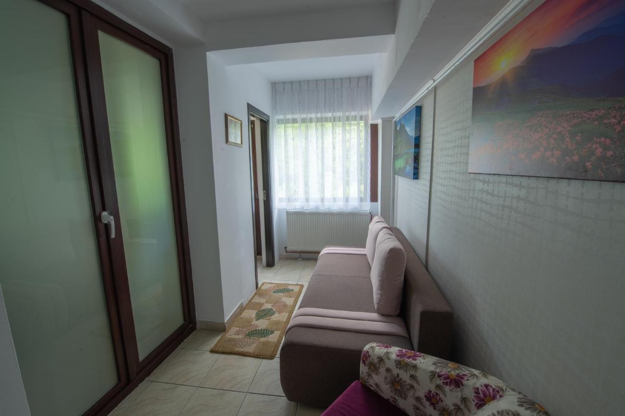 סינאיה Monik Apartament מראה חיצוני תמונה