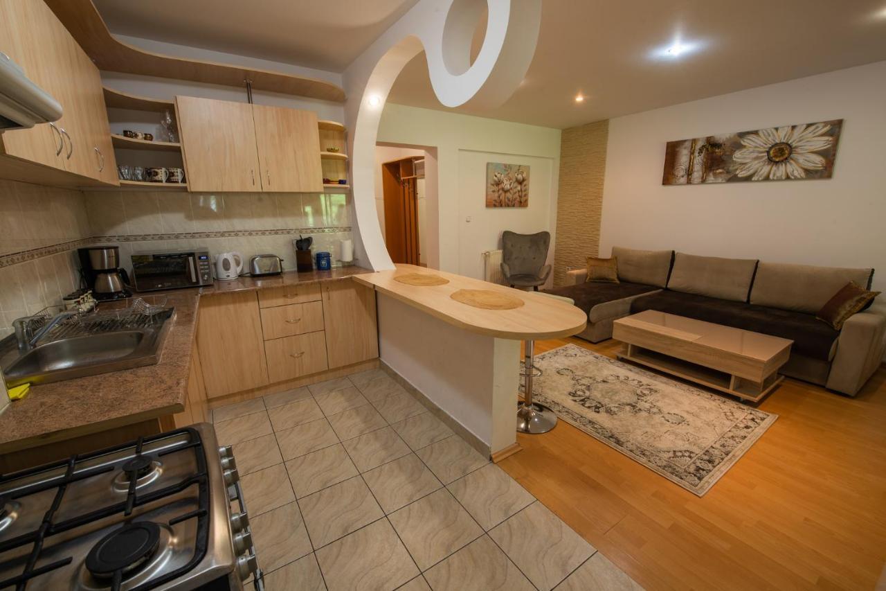 סינאיה Monik Apartament מראה חיצוני תמונה