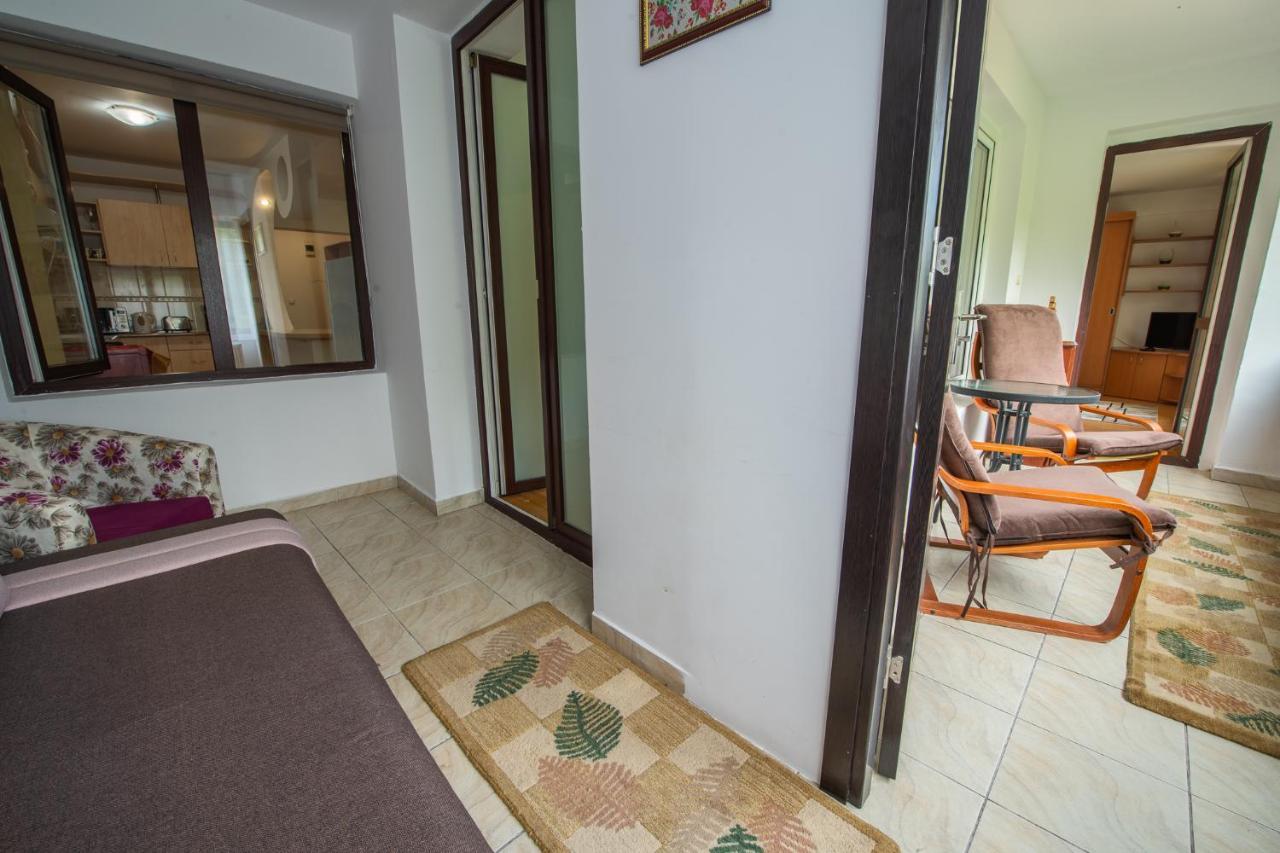 סינאיה Monik Apartament מראה חיצוני תמונה