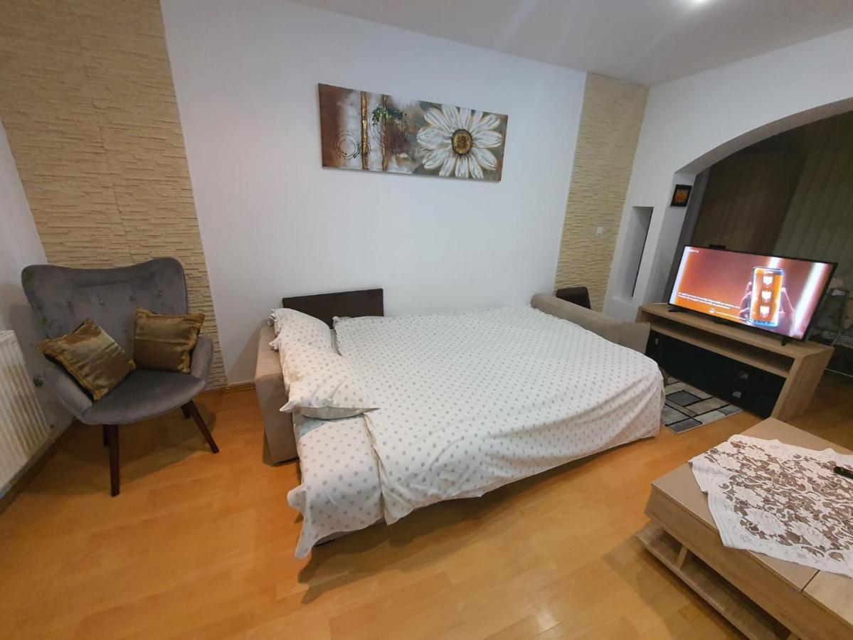 סינאיה Monik Apartament מראה חיצוני תמונה