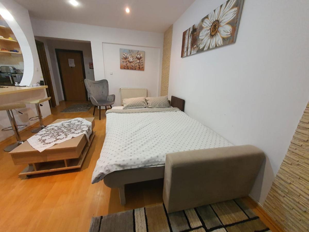 סינאיה Monik Apartament מראה חיצוני תמונה