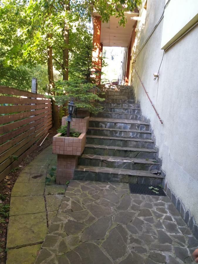 סינאיה Monik Apartament מראה חיצוני תמונה